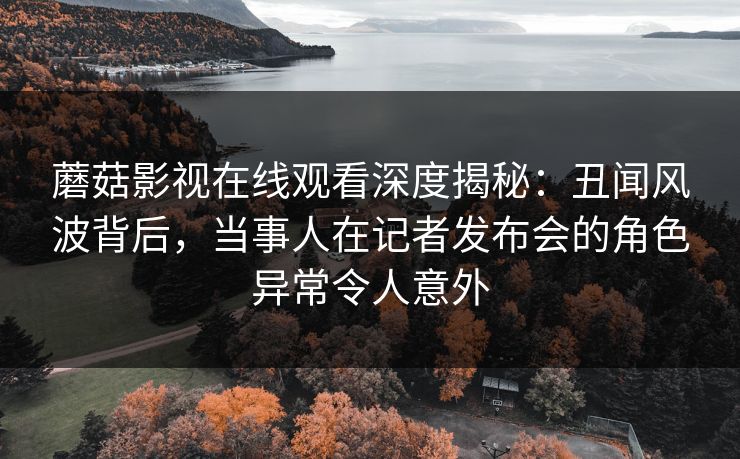 蘑菇影视在线观看深度揭秘：丑闻风波背后，当事人在记者发布会的角色异常令人意外