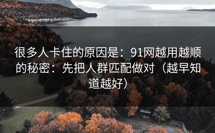 很多人卡住的原因是：91网越用越顺的秘密：先把人群匹配做对（越早知道越好）
