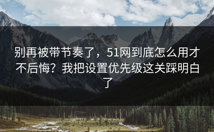 别再被带节奏了，51网到底怎么用才不后悔？我把设置优先级这关踩明白了