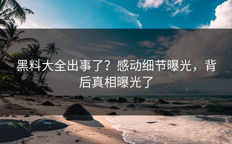 黑料大全出事了？感动细节曝光，背后真相曝光了
