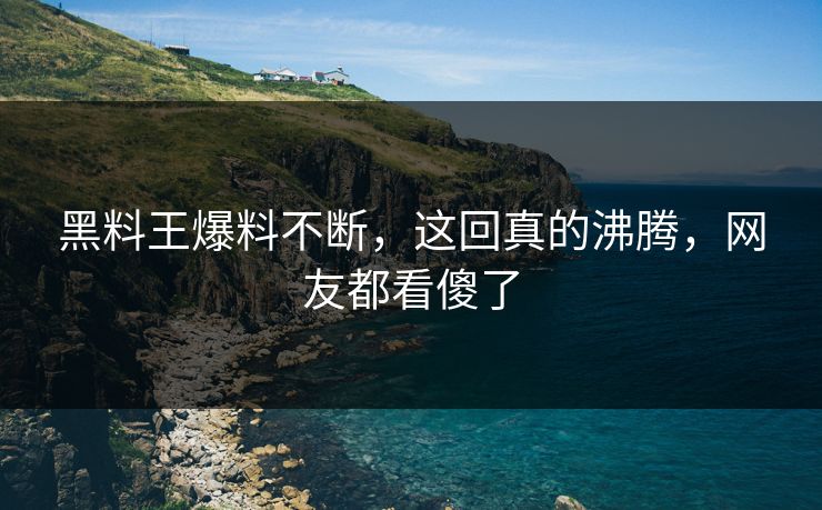 黑料王爆料不断，这回真的沸腾，网友都看傻了