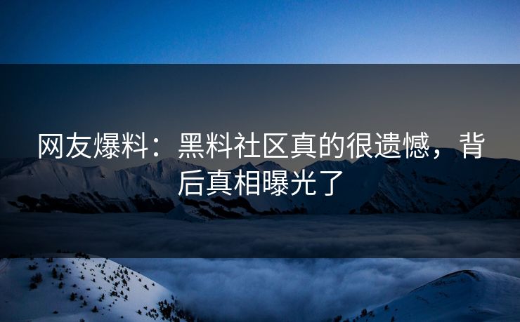 网友爆料：黑料社区真的很遗憾，背后真相曝光了