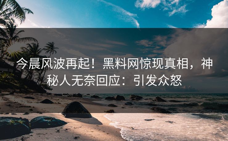 今晨风波再起！黑料网惊现真相，神秘人无奈回应：引发众怒