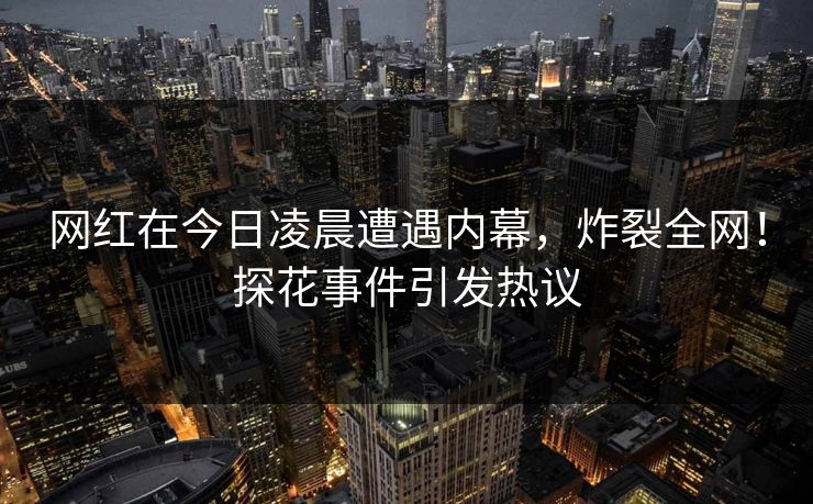 网红在今日凌晨遭遇内幕，炸裂全网！探花事件引发热议