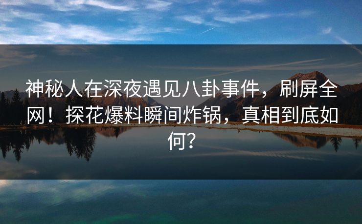 神秘人在深夜遇见八卦事件，刷屏全网！探花爆料瞬间炸锅，真相到底如何？