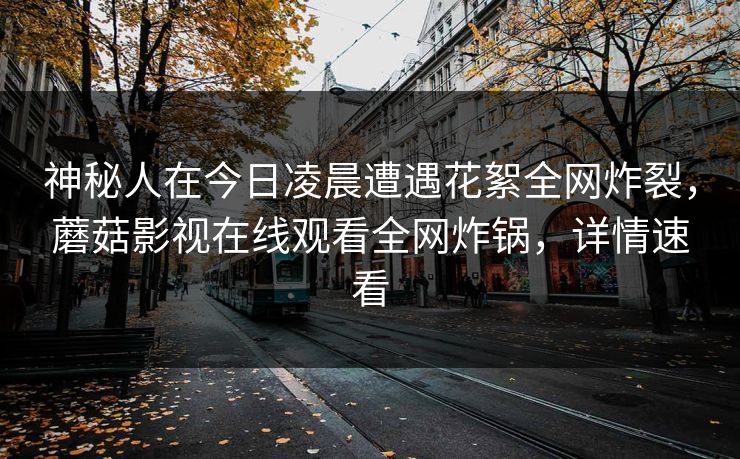 神秘人在今日凌晨遭遇花絮全网炸裂，蘑菇影视在线观看全网炸锅，详情速看