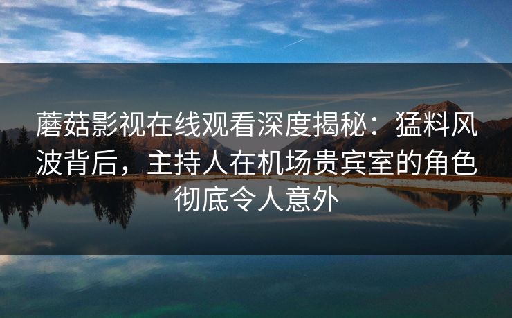 蘑菇影视在线观看深度揭秘：猛料风波背后，主持人在机场贵宾室的角色彻底令人意外
